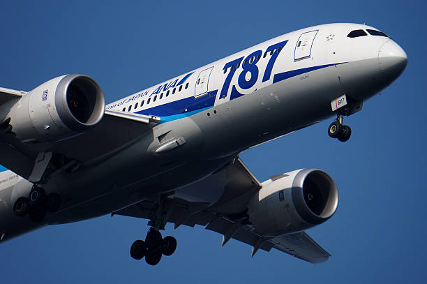 50+ All Nippon Airways (Ana) Boeing 787 8 Stock Photos, Pictures