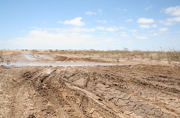 istock Muddy Salt Road after heavy rain, Skeleton Coast, Namibia, Africa 524475309