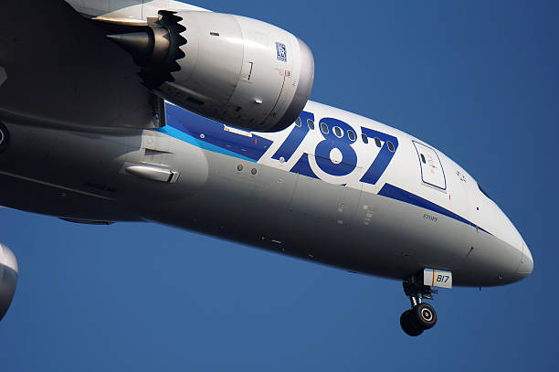 50+ All Nippon Airways (Ana) Boeing 787 8 Stock Photos, Pictures