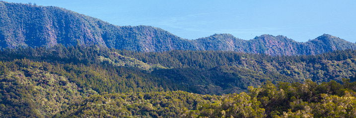 Panoramic view the woods in the “Réserve Naturelle de la Roche Écrite”. The top of Reunion Island is called “Les hauts”, meaning literally “The tops”.