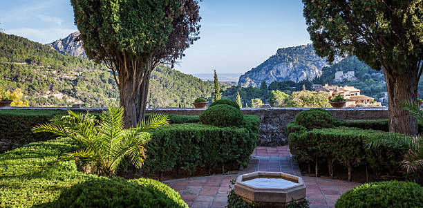 istock Wonderful garden in Valldemossa 524479553