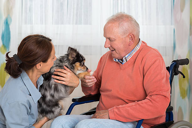 soins pour animaux de compagnie – homme senior avec petit chien - senior adult dog nursing home pets photos et images de collection