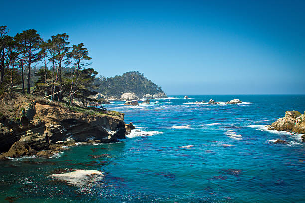 ホエーラーの入り江 - point lobos state reserve big sur california beach ストックフォトと画像