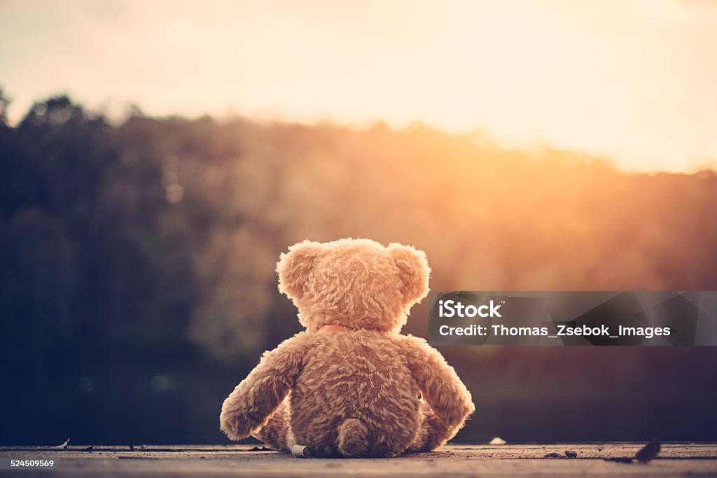 Teddy bear Lost Stock Photo