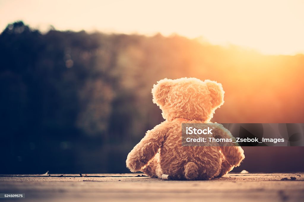 Teddy bear Loneliness Stock Photo