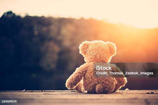 Teddy Bear Stock Photo - Download Image Now - Loneliness, Teddy Bear, Sunset