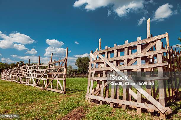 Wooden Rustic Fence Sky And Village Landscape Stock Photo - Download Image Now - Agricultural Field, Agriculture, Blue