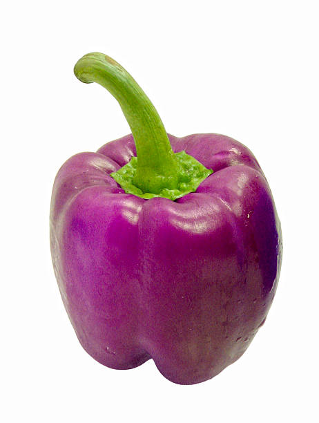 purple pepper