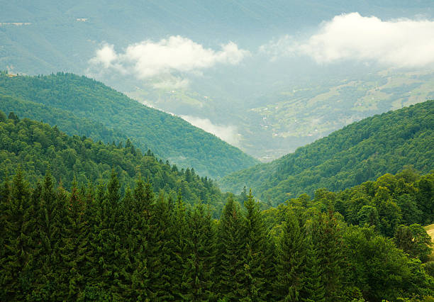 istock Landscape green forests in the mountains 524511549
