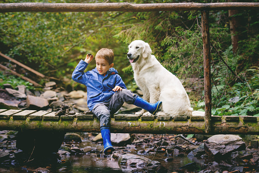 Little boy sitting on the wooden bridge with golden retriever and is throwing down stones into the river