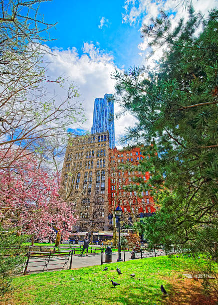istock In City Hall Park in Lower Manhattan 524529954