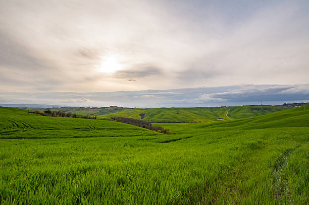 Cloudy day in Tuscany stock photo