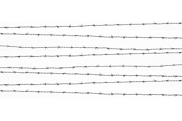 dentado cables aislados - barbed wire fotografías e imágenes de stock