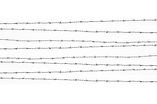 Barbed wires isolated