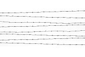 Barbed wires isolated