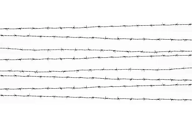 Barbed wires isolated