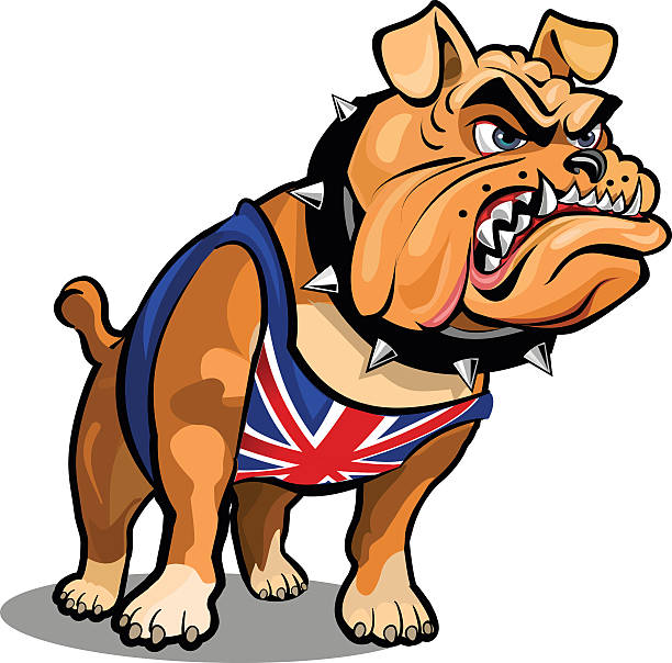 Angry Bulldog Angry Bulldog angry dog barking cartoon stock illustrations