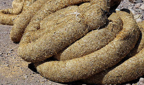 construcción de erosión control de la contaminación wattles de paja en primer plano - lucha contra la erosión fotografías e imágenes de stock