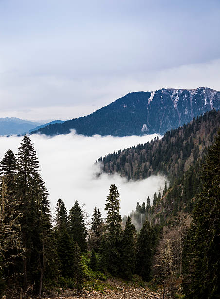 istock Majestic Mountains Landscape 524538795
