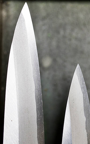 istock Japanese Sushi Knives 524538812