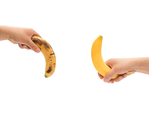 bananas up and down like mens penis as potency concept stock photo