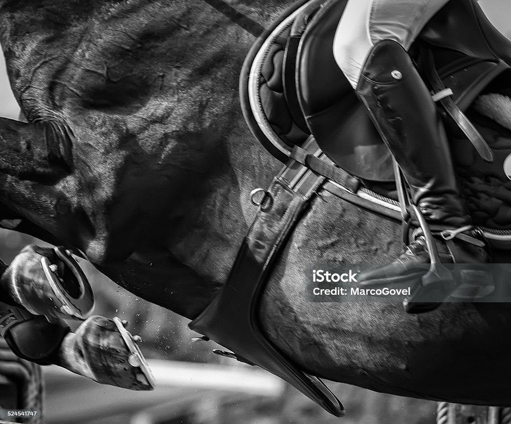 Horse jumping competition - Royalty-free Springen - Paardensport Stockfoto