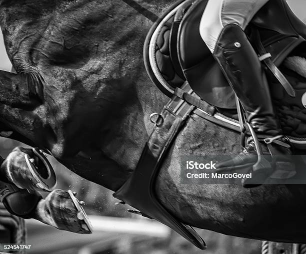 Horse Jumping Competition Stockfoto en meer beelden van Springen - Paardensport - Springen - Paardensport, Paard - Paardachtigen, Jockey