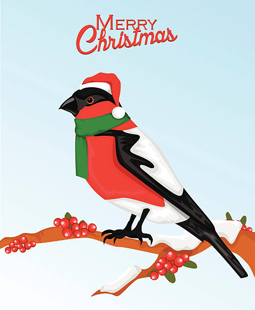 istock Christmas bullfinch bird in santa hat 524541797