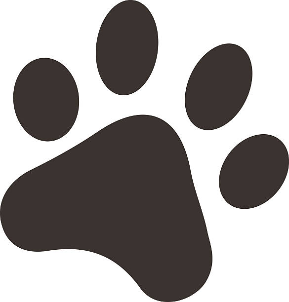 illustrazioni stock, clip art, cartoni animati e icone di tendenza di bianco impronte di piede di sagoma cani illustrazione vettoriale - paw print animal track dirt track