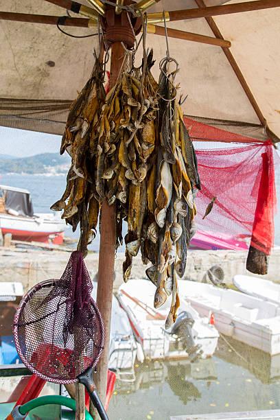 istock Turkish traditional stockfish outdoor drying closeup 524541891