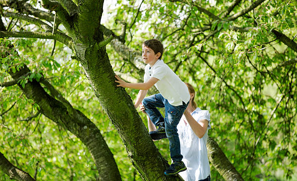istock Mother helping child to climb on tree 524541943