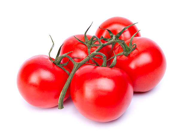 istock branch of tomatoes 524542155