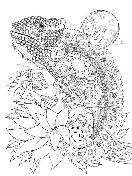 chameleonb adult coloring page vector art illustration