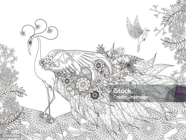 Floral Feather Peacock Coloring Page Stock Illustration - Download Image Now - Adult, Animal, Coloring