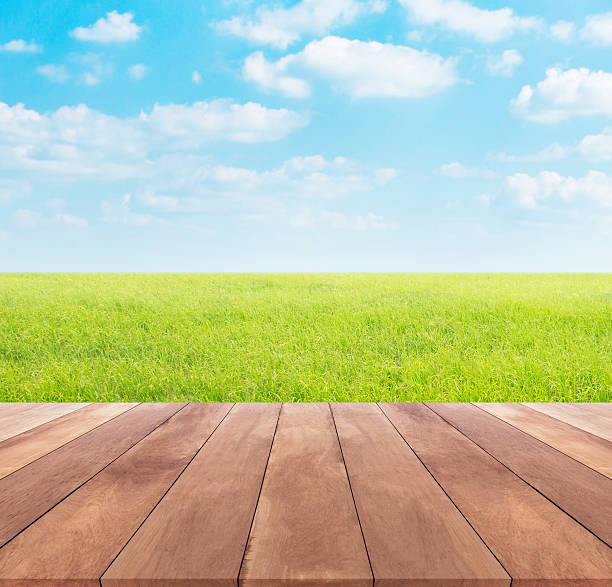 istock Spring or summer with nature rice field and wood table 524543158