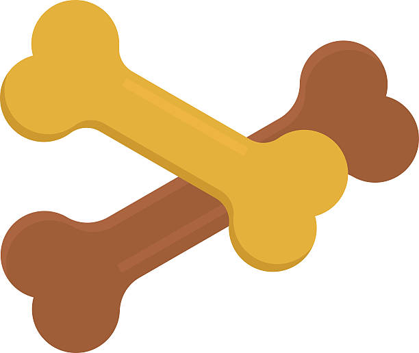 hundeknochen tier essen mahlzeit haustier keks spielzeug hundeartige snack - isolated dog animal puppy stock-grafiken, -clipart, -cartoons und -symbole