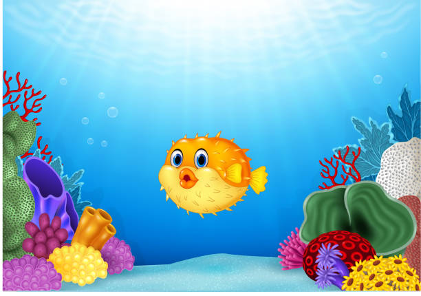 カットイラスト、フグ、サンゴ礁の水中の海 - soft coral illustrations点のイラスト素材／クリップアート素材／マンガ素材／アイコン素材