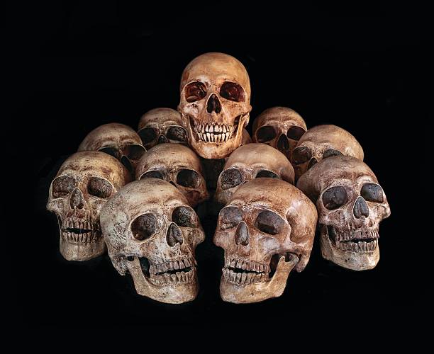 istock Pile of Skulls, on black background 524545472