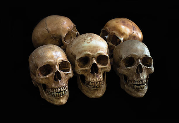 istock Pile of Skulls, on black background 524545538