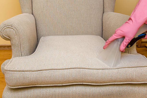 istock Sofa or armchair chemical cleaning with professionally extraction method. 524546390