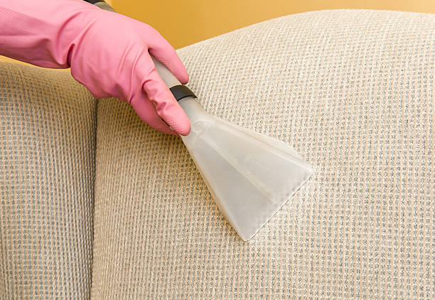 istock Sofa or armchair chemical cleaning with professionally extraction method. 524546460