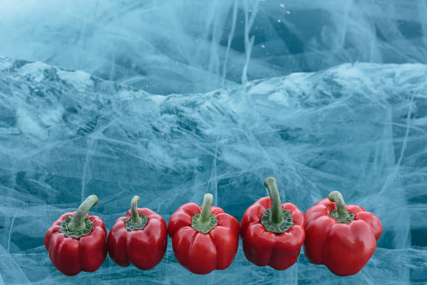 Sweet pepper beautiful lies on pure ice. One of the most beautiful glacial lakes on earth - Lake Baikal.