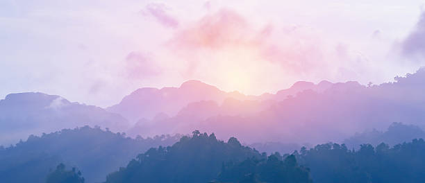 coloré du lever du soleil - nobody forest landscape cloud photos et images de collection