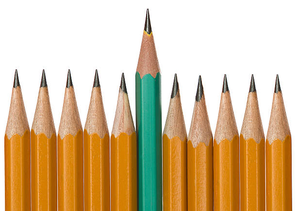 istock Row of pencils isolated on white background. Teamwork concept. 524550384