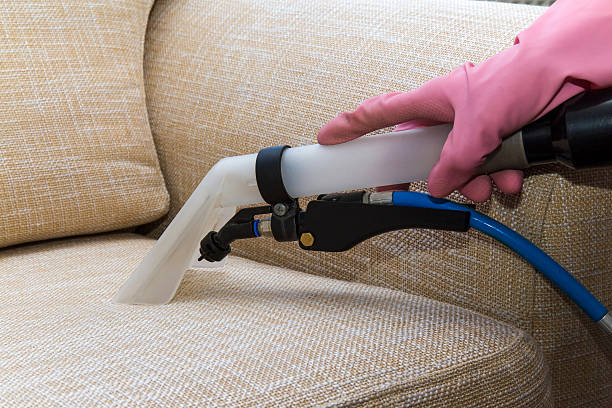 Sofa or armchair chemical cleaning with professionally extraction method. stock photo