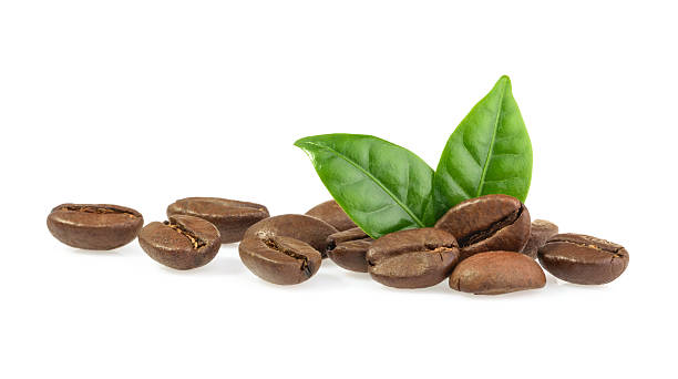 granos de café con hojas aisladas - cup of coffee beans fotografías e imágenes de stock