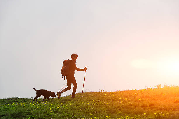 istock Girl walks in the mountains with his dog 524555980