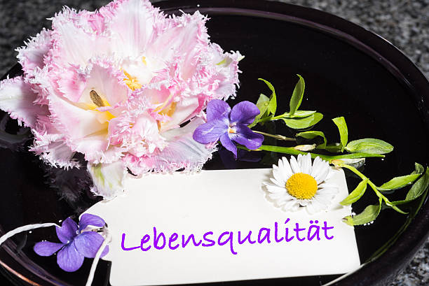 istock Tulip and daisies with map quality of life 524556604