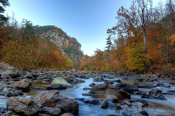 Nature In Alabama 9,200+ Alabama Nature Stock Photos, Pictures & Royalty-Free Images - iStock