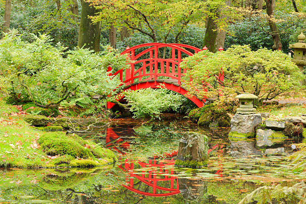 istock public Japanese Garden in The Hague 524577951